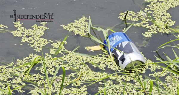 Consejo Asesor del Estero Josefino lleva 3 años sin sesionar