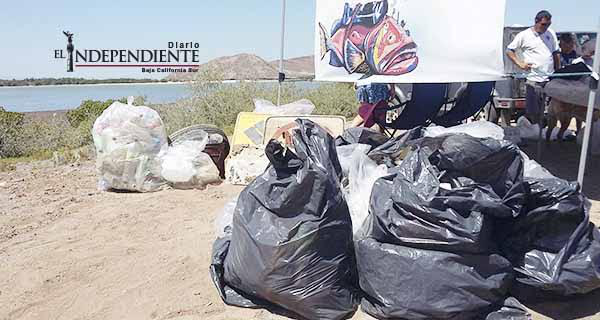 Ofrecen taquiza y kayaks a cambio de limpiar manglares del Mogote