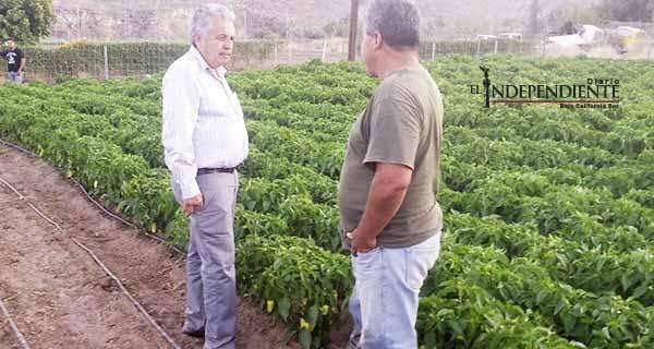 Darán apoyo a los productores de la Sierra de San José de Magdalena