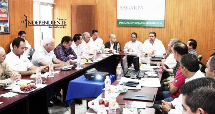 Invertirá SAGARPA 83.5 mdp en apoyo a productores de BCS