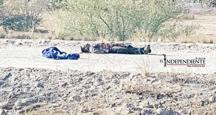 Violento inicio de semana en La Paz