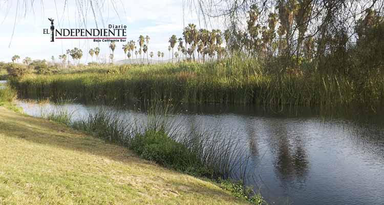 FONATUR minimiza impacto de descargas de agua tratada en el Estero de San José