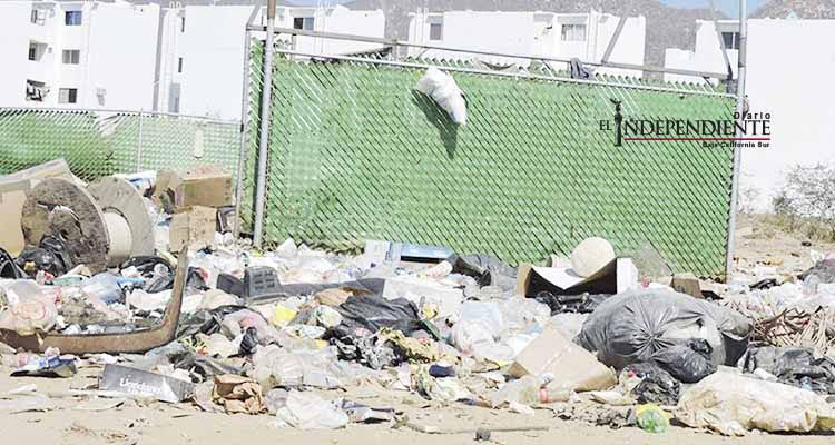 Vacas sueltas causan destrozos en el fraccionamiento Puerto Nuevo, denuncian vecinos