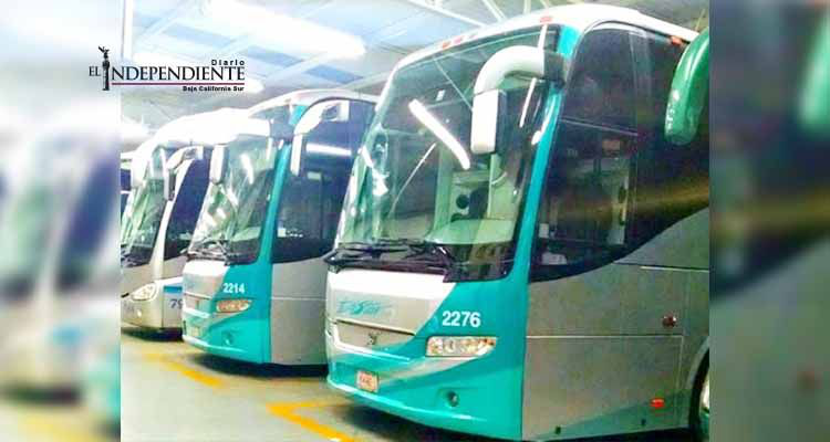 Niña alertó a su padre sobre asalto en ETN