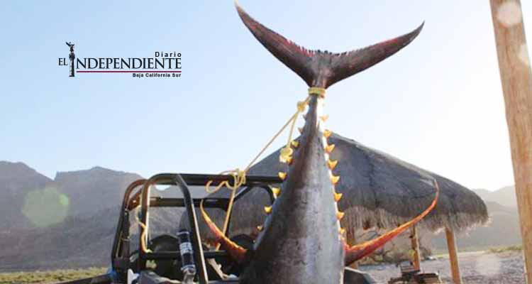 Comunidad se opone a la iniciativa de ley para prohibir la pesca deportiva