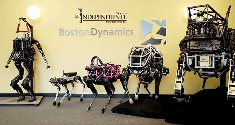 Crean primer perro-robot que limpia tu casa