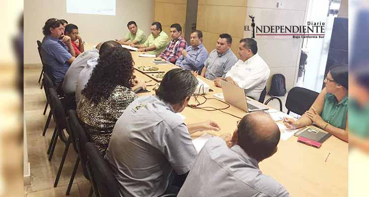 Los Cabos puede ser punta de lanza en cumplimiento de la Ley de Transparencia