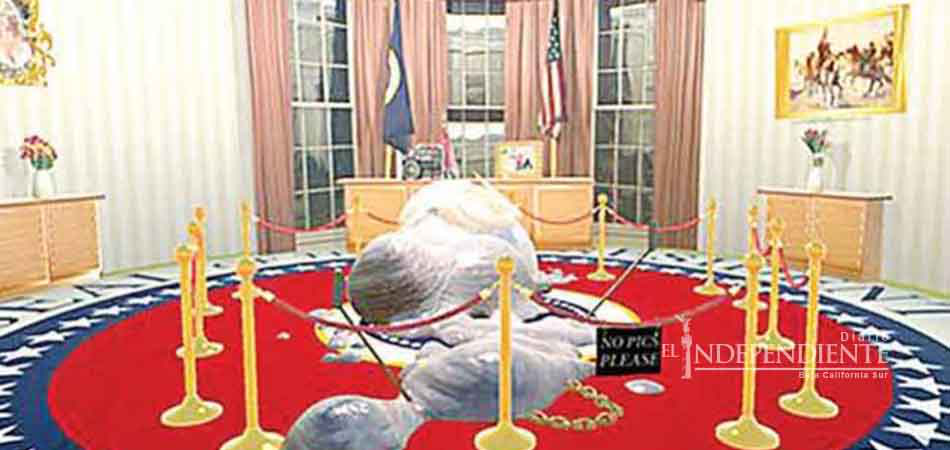 Vngravity; le apuestan a lo virtual