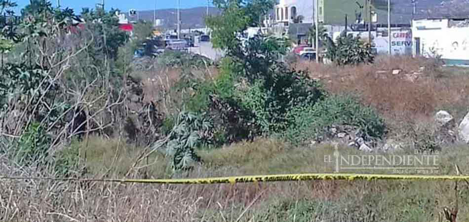 Localizan cuerpo “embolsado” en CSL