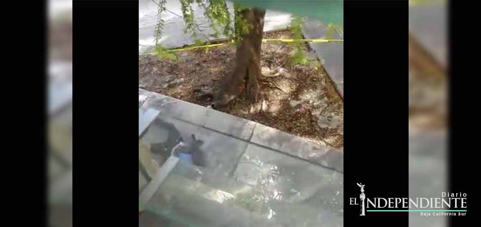 Video: Transmite balacera en Cancún; ‘aquí hay un vato muerto’, dice