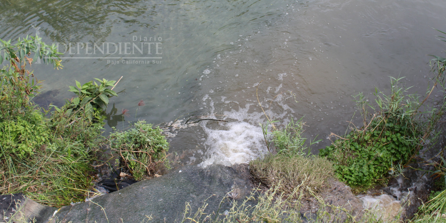 Reutilizarán agua tratada de Fonatur para liberar de contaminación al Estero