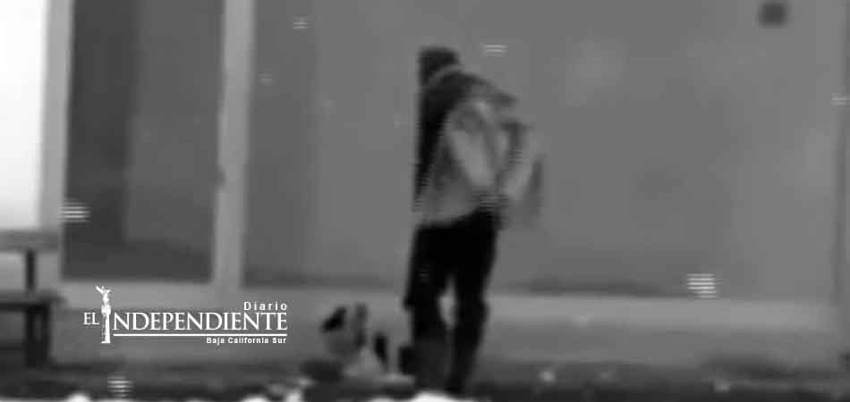 Hombre da su chamarra a perro callejero para protegerlo