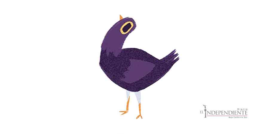 Esta es la historia de la 'misteriosa' paloma morada de Facebook