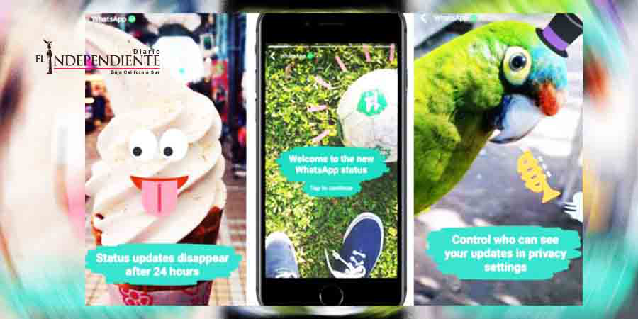 Los riesgos de la nueva actualización de Whatsapp