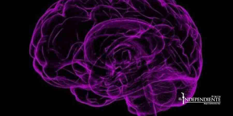 Invierte 100 millones de dólares en 'hackear' el cerebro humano