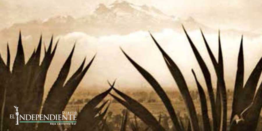 Franz Mayer revisa legado paisajístico