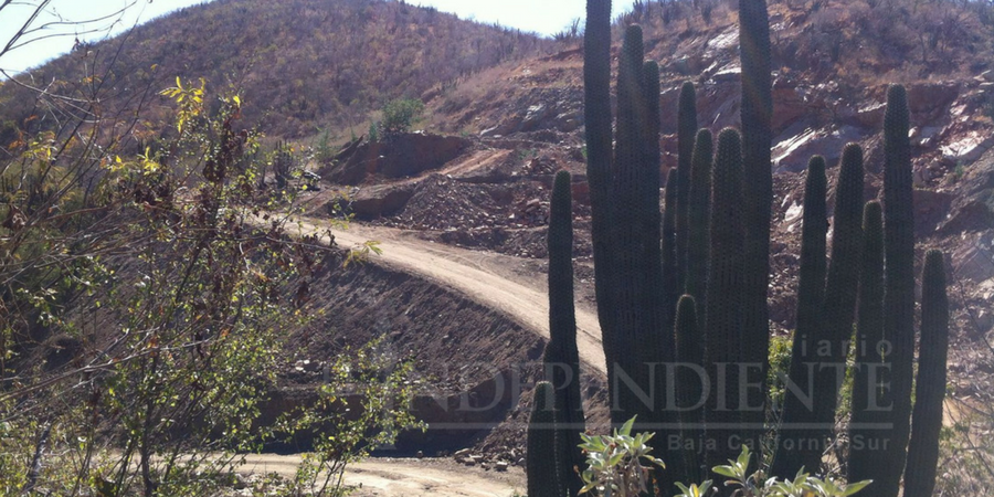 Estudian reforma la Constitución de BCS para evitar el establecimiento de minería tóxica