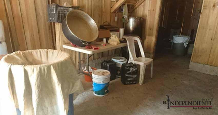 Sedena decomisa droga con valor de más de 15 millones de pesos