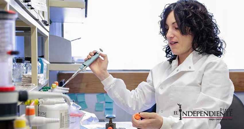 Investigadora de la UNAM obtiene beca internacional para estudios en genética