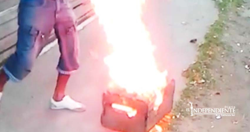 Encierran a perrito, lo queman vivo, y lo difunden en redes