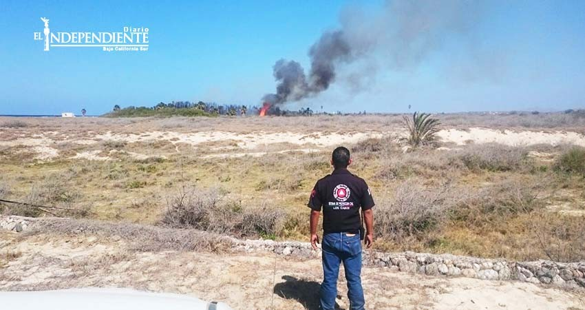 Fuerte incendio arrasa con cientos de palmeras en La Ribera