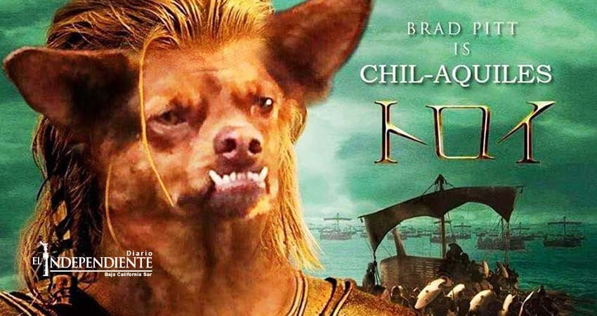 Twitter, entre tragedias, altas temperaturas y ‘el Chilaquil’