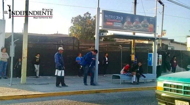 Hay paro parcial de labores en el transporte público en La Paz