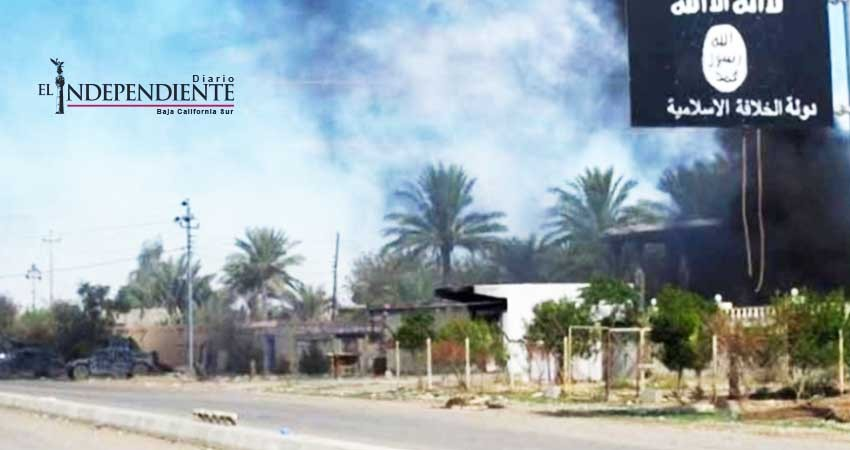 Tropas sirias combaten milicias apoyadas por EU tras derribo de avión