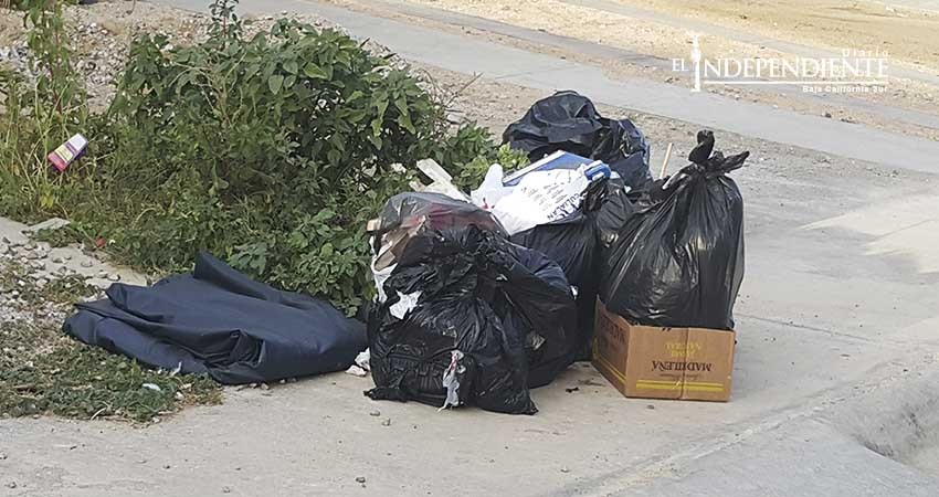 Más de una tonelada de basura al día generan negocios del centro de CSL 