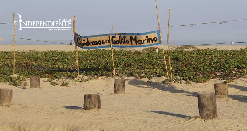 Cancela Pacchiano visita al Estero de San José 