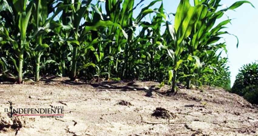 Declaran estado de emergencia por sequía en norte de Italia