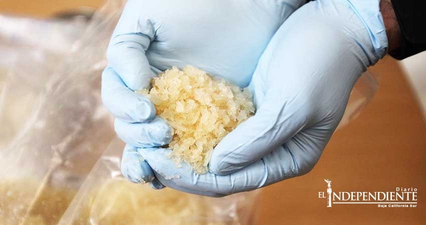 Asegura PGJE 650 dosis de cristal  mediante cateo en La Paz