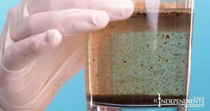 Diseñan microrobots que eliminan bacterias del agua