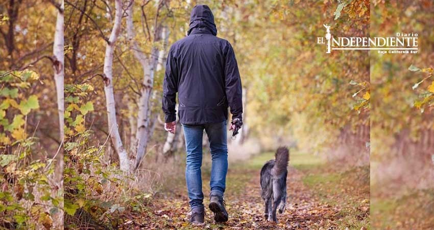 Entierra vivo a perro y ofrecen recompensa por hallar al culpable