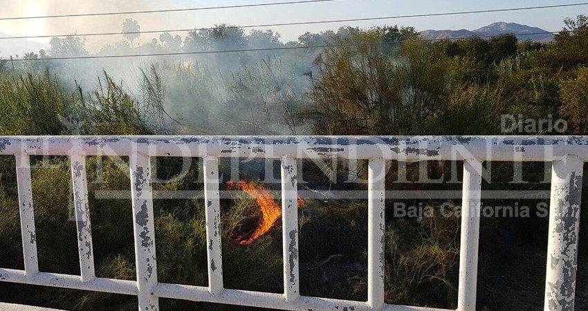 Vuelve a arder en llamas parte del Estero Josefino 