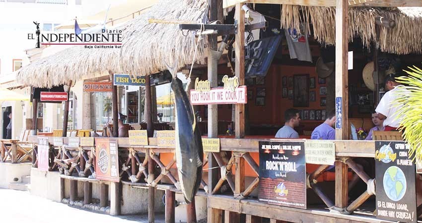 Forzosa la voluntad política para solucionar problema de la depredación marina