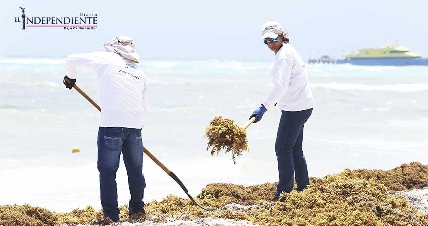 Oficial, todos los empleados de ZOFEMAT ya cuentan con seguridad social