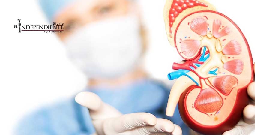 Proporciona IMSS de BCS tratamientos a pacientes con trasplante de riñón 
