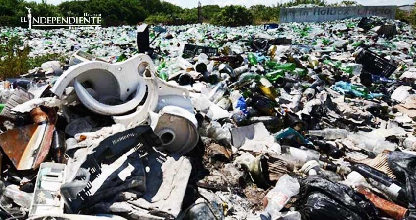 Retiran 12 toneladas de basura en isla de Holbox