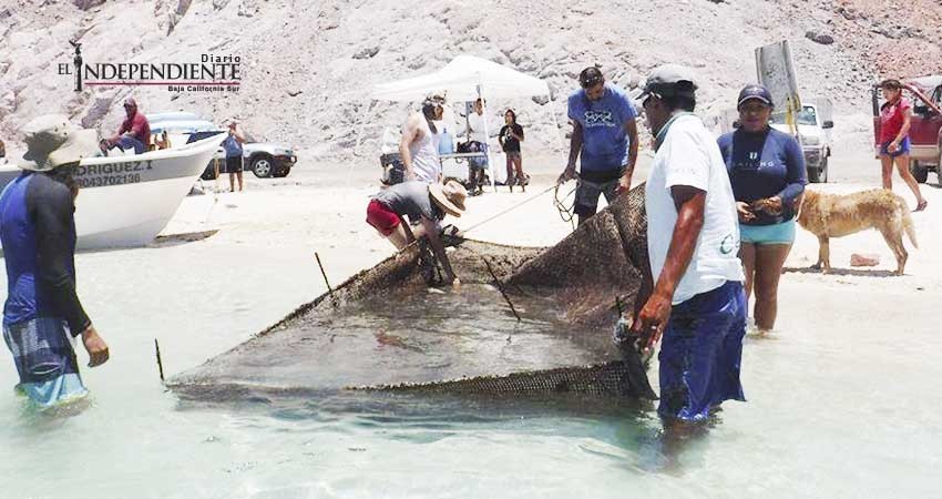 Voluntarios han retirado 36 toneladas de basura submarina en La Paz
