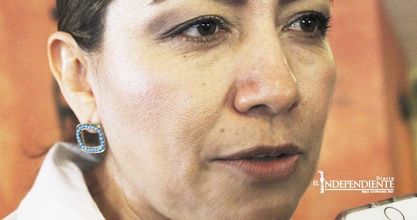 Desde el Congreso se ha hecho lo correspondiente por la seguridad: Diputada