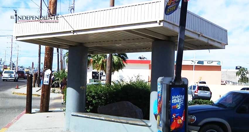 Acusa Tránsito y Vialidad a la Dirección de Transporte por atrasos en la rehabilitación de los paraderos de camión