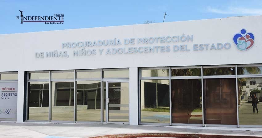 Tiene BCS un nuevo sistema de adopciones más rápido y eficaz