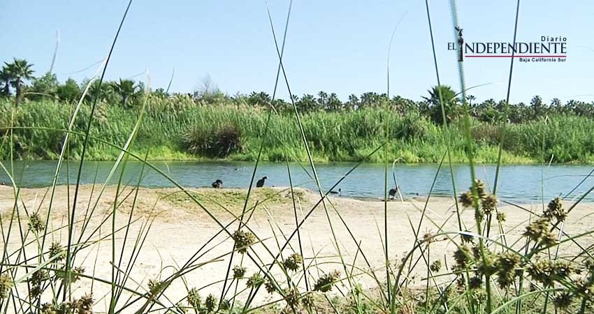 Los Cabos finalista en los premios Latinoamérica Verde