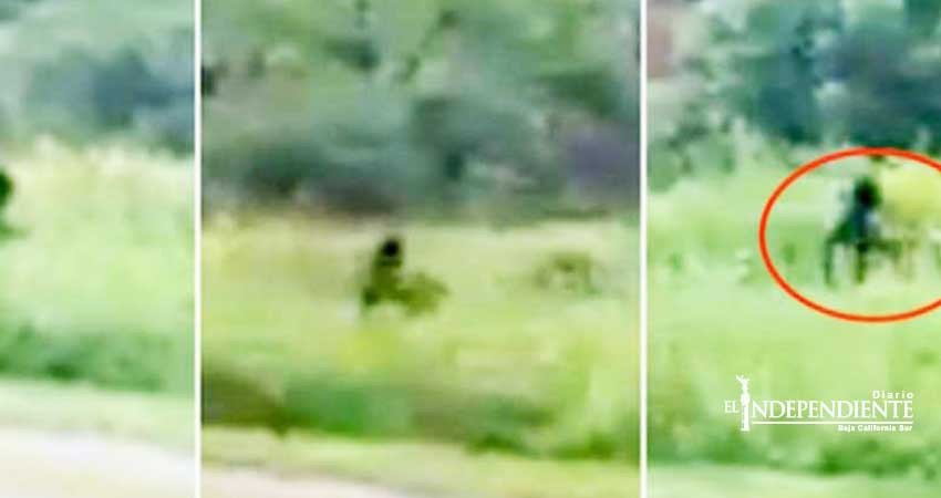 Graban presunto encuentro con 'Pie Grande' en Carolina del Norte