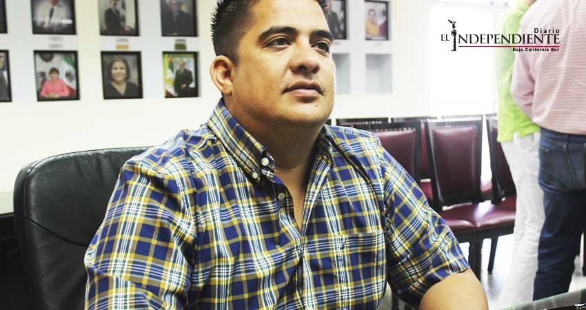 Abrir candidaturas a ciudadanos, lo mejor que puede hacer un partido: PVEM