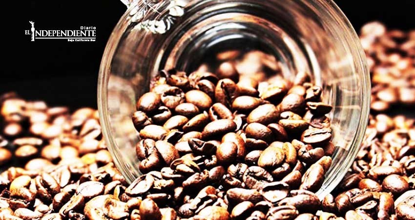 Aprender a beber bien tu café puede ayudarte a bajar de peso