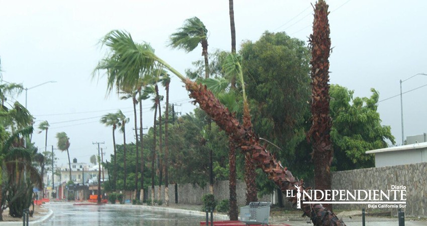 CFE Los Cabos trabaja en afectaciones por Lidia