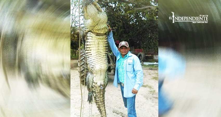 Este es el enorme cocodrilo que mató a un pescador en Tabasco