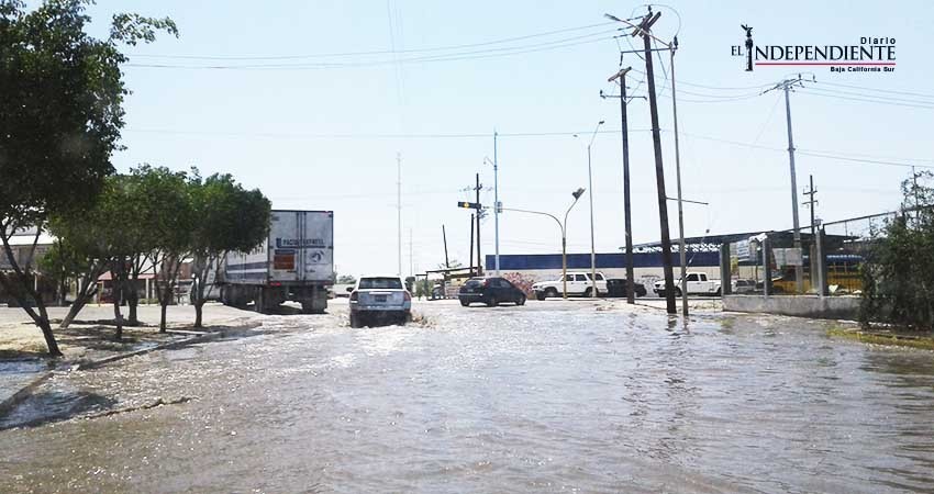 Aguas estancadas frente a Pepsi dejan malos olores a los vecinos